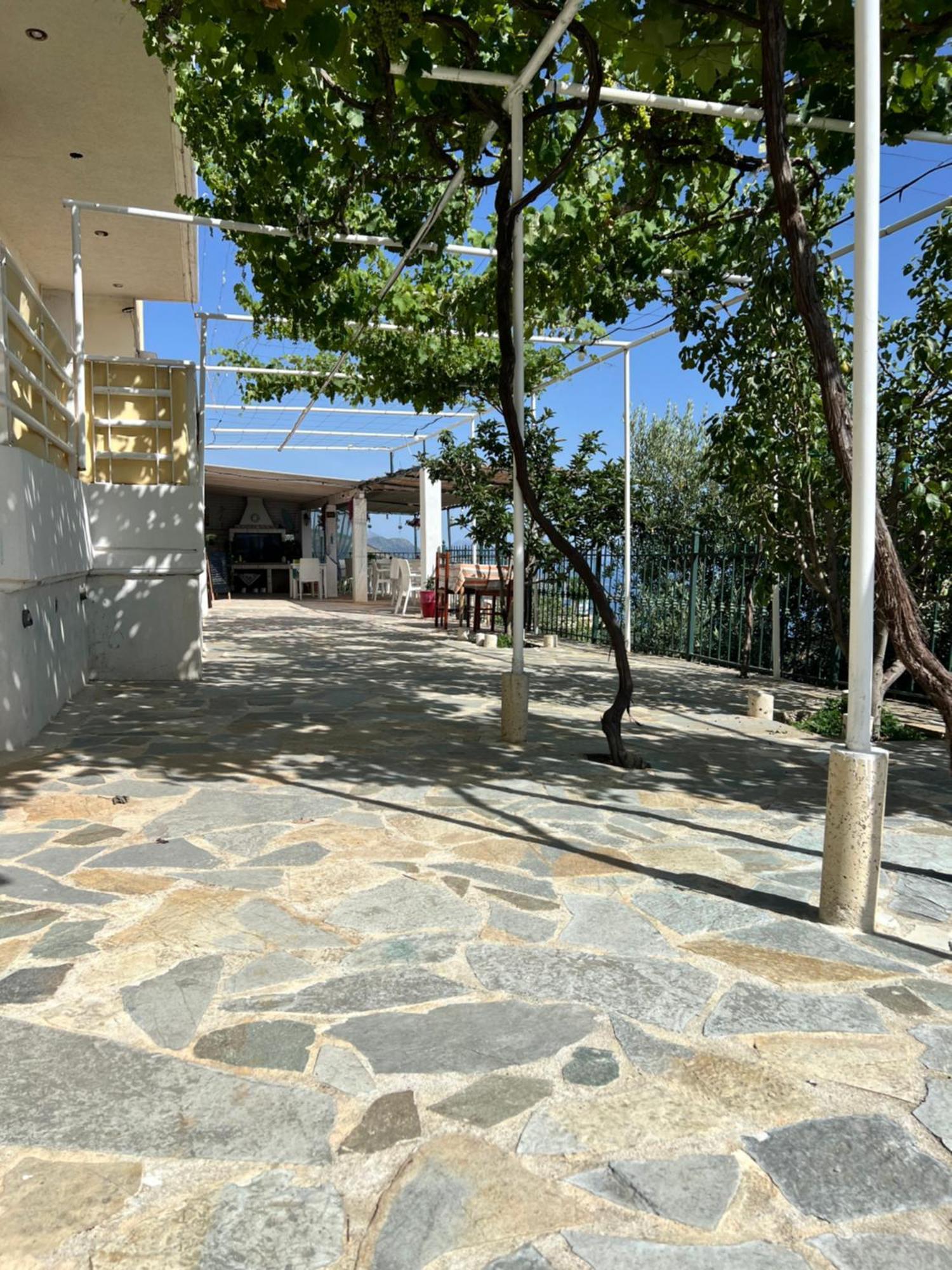 Villa Filip Vuno Dış mekan fotoğraf