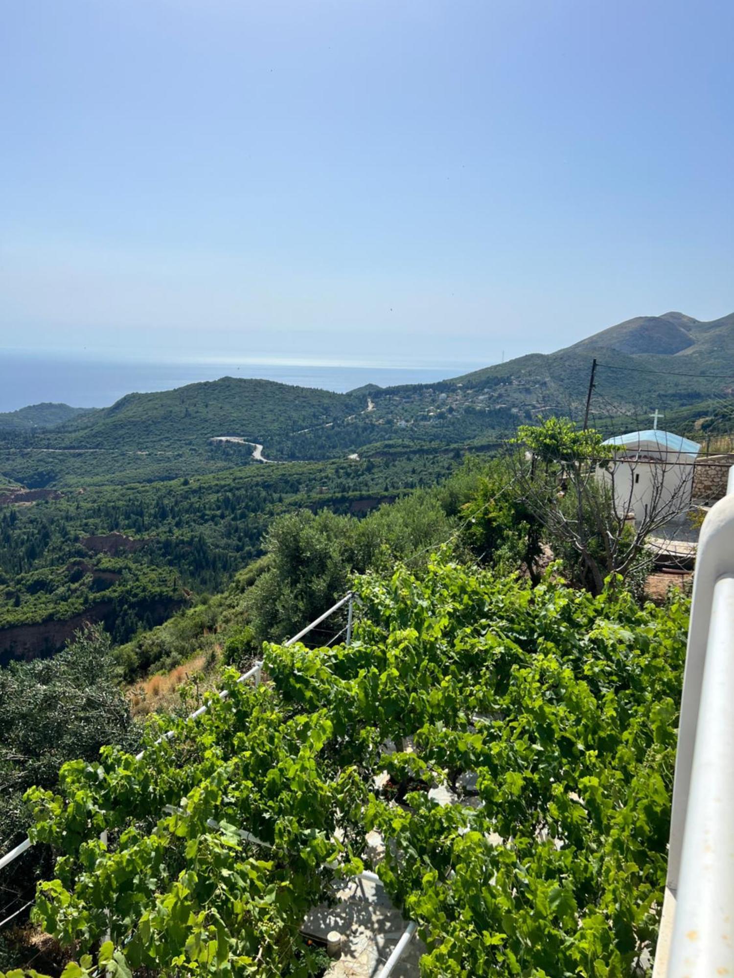 Villa Filip Vuno Dış mekan fotoğraf