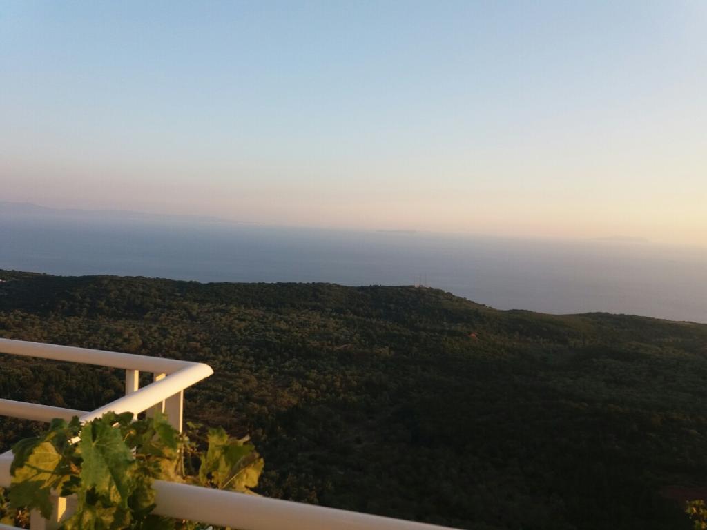 Villa Filip Vuno Dış mekan fotoğraf