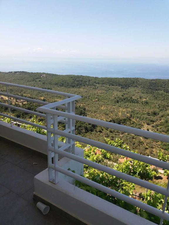 Villa Filip Vuno Dış mekan fotoğraf